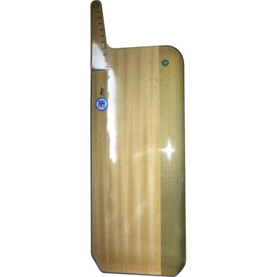 N1 420 Centreboard