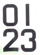 29er Sail Number (set of 8)